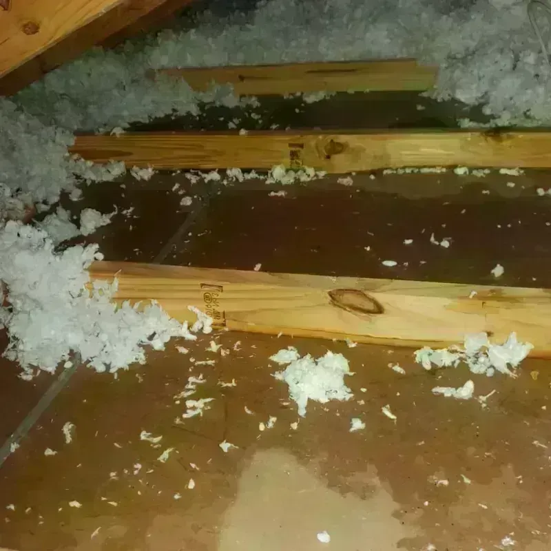 Attic Water Damage in Coke County, TX